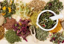 Benewinde Herbal and Spiritual Centre opens in Bolgatanga