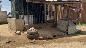 The shop where the act happened