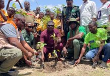 World Vision Ghana leads tree restoration drive in Nabdam under ‘Tree for Life’ initiative