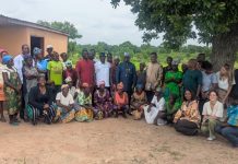 Nabdam District bets on cashew revolution as 800 trees survive climate project