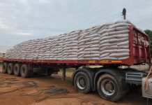 Isaac Adongo supplies fertilizer to support dry-season farming in Bolgatanga Central
