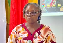 Stop using TikTok to insult people – Upper East youth advised