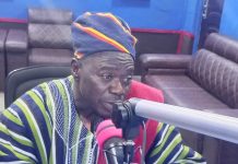 “Successive governments must build on Ghana’s development gains – Naab Bileehsing”