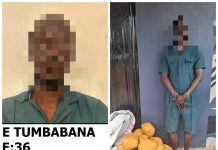 Police arrest suspected drug dealer with 38 parcels of suspected Indian hemp at Paga